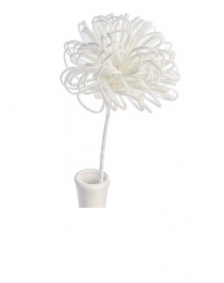 Trockenblume / WILD FLOWER / 50cm -Weiß